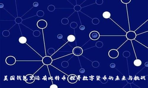 美国钱包里还有比特币:探寻数字货币的未来与挑战