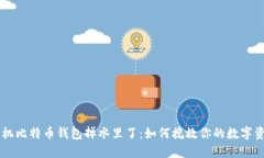 手机比特币钱包掉水里了：如何挽救你的数字资
