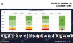 比特币钱包是什么软件？详细解析比特币钱包的