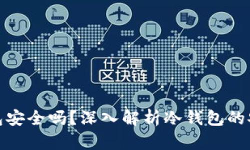 比特币冷钱包安全吗？深入解析冷钱包的安全性与风险
