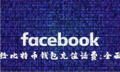 怎么给比特币钱包充值话费：全面指南