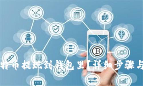 怎么把比特币提现到钱包里?详细步骤与注意事项