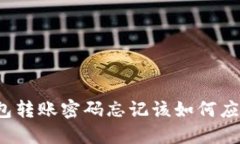 比特币钱包转账密码忘记该如何应对与解决？