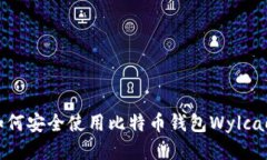 如何安全使用比特币钱包Wylcao？