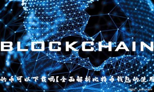 比特币钱包的币可以下载吗?全面解析比特币钱包的使用与下载问题