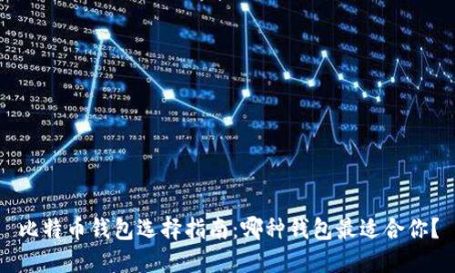 比特币钱包选择指南:哪种钱包最适合你?