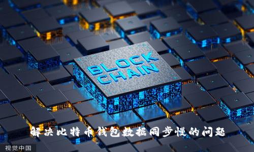 解决比特币钱包数据同步慢的问题
