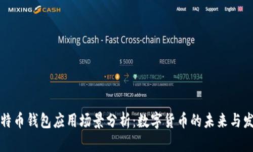 比特币钱包应用场景分析:数字货币的未来与发展