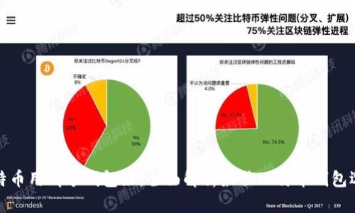 比特币用哪个钱包好：全面解析最佳比特币钱包选择