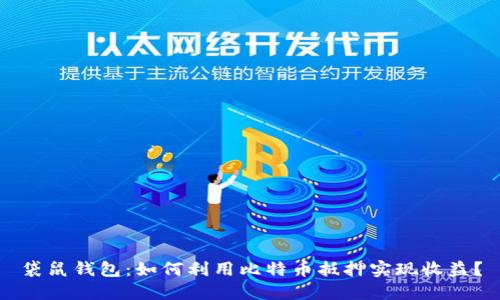 袋鼠钱包:如何利用比特币抵押实现收益?