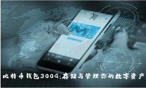 比特币钱包300G：存储与管理你的数字资产