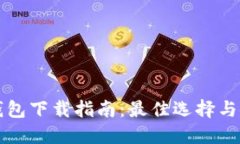 比特币钱包下载指南：最佳选择与使用技巧