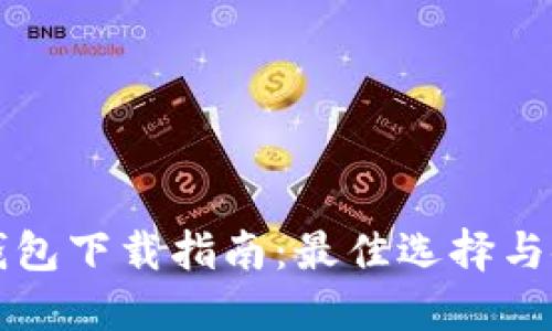 比特币钱包下载指南：最佳选择与使用技巧