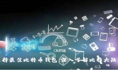 如何选择最佳比特币钱包：深入了解比特大陆的