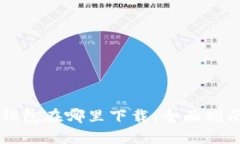 比特币钱包在哪里下载：全面指南与推荐