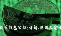 比特币钱包公钥：详解、使用及安全性
