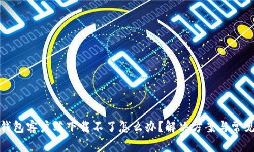 : 比特币钱包客户端下载不了怎么办？解决方案与常见问题解析
