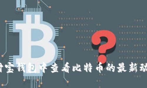 如何在支付宝钱包中查看比特币的最新动态和价格？