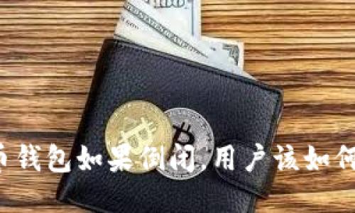比特币钱包如果倒闭，用户该如何应对？