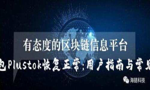比特币钱包Plustok恢复正常：用户指南与常见问题解答