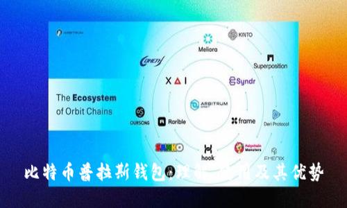比特币普拉斯钱包：理解、使用及其优势