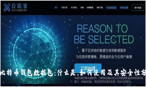 : 比特币钱包数据包：什么是，如何使用及其安全性分析