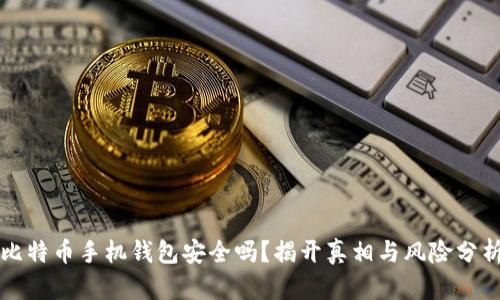 比特币手机钱包安全吗？揭开真相与风险分析