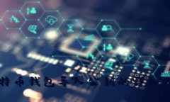 比特币钱包导入公钥的详细指南