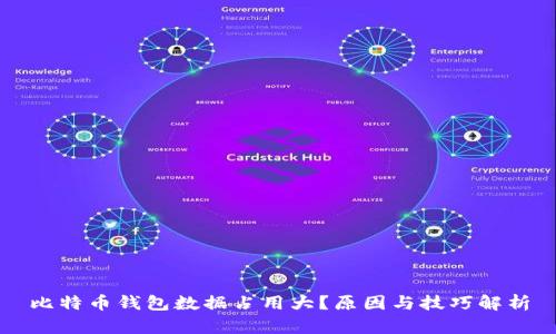 比特币钱包数据占用大？原因与技巧解析