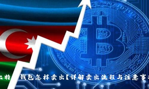 比特币钱包怎样卖出?详解卖出流程与注意事项