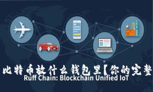 买了比特币放什么钱包里？你的完整指南