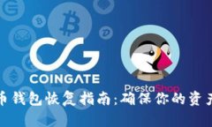 比特币钱包恢复指南：确保你的资产安全