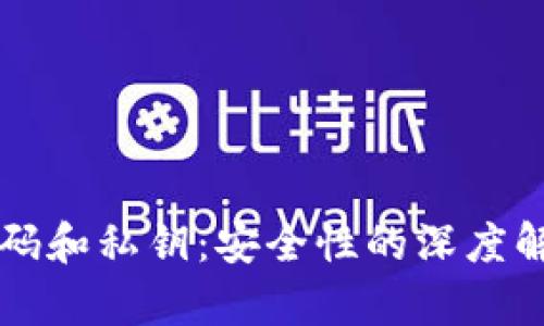 比特币钱包密码和私钥：安全性的深度解析与保护方法