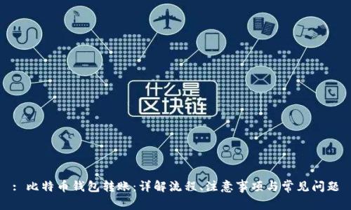 : 比特币钱包转账：详解流程、注意事项与常见问题