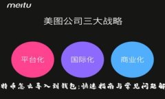 比特币怎么导入到钱包：快速指南与常见问题解