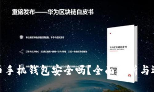 : 比特币手机钱包安全吗？全面分析与选择指南