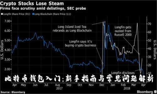 比特币钱包入门：新手指南与常见问题解析