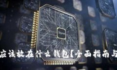 : 比特币应该放在什么钱包？全面指南与选择策略
