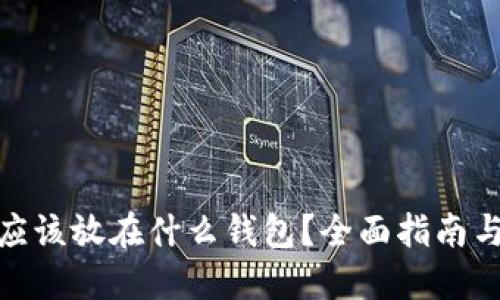 : 比特币应该放在什么钱包？全面指南与选择策略
