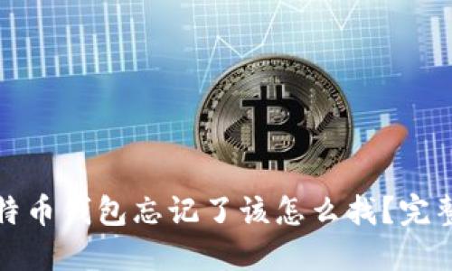 : 比特币钱包忘记了该怎么找？完整指南