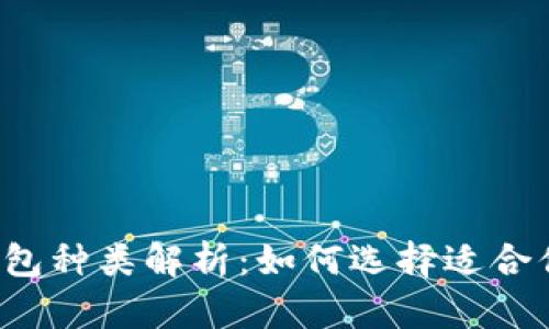 比特币钱包种类解析：如何选择适合你的钱包？