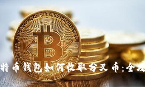 比特币钱包如何收取分叉币：全攻略