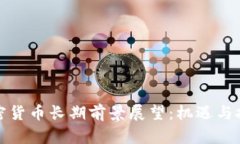 加密货币长期前景展望：机遇与挑战