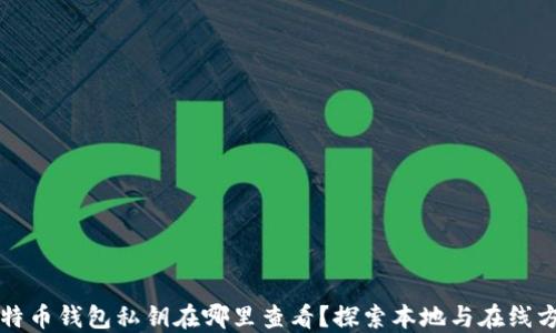 
比特币钱包私钥在哪里查看？探索本地与在线方法