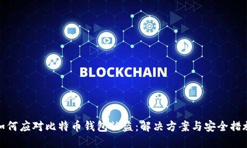 如何应对比特币钱包被盗：解决方案与安全措施