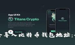 如何安全导入比特币钱包地址：全面指南