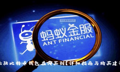 大陆比特币钱包在哪买到？详细指南与购买建议