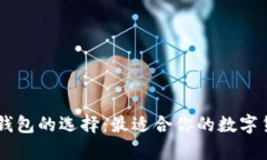 主流比特币钱包的选择：最适合你的数字货币存