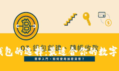主流比特币钱包的选择：最适合你的数字货币存储方式