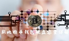 新比特币钱包硬盘容量详解